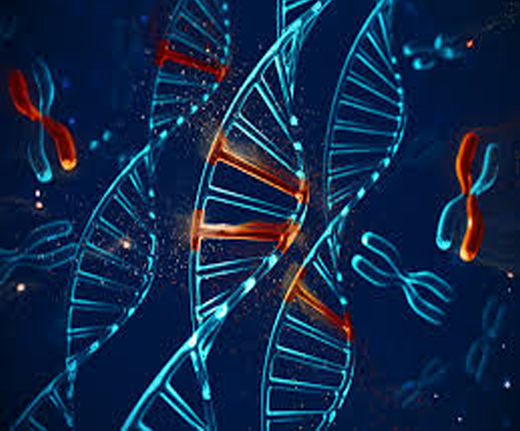 Image for Cyto Genetics